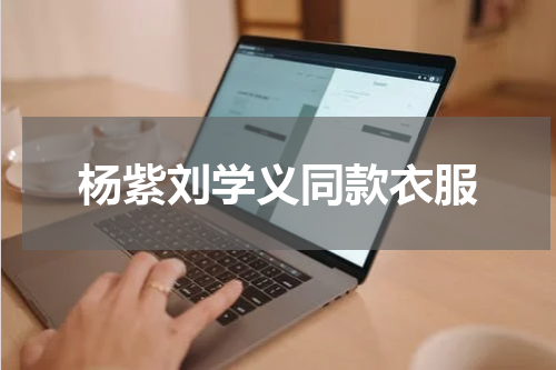 杨紫刘学义同款衣服