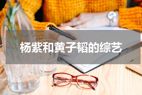 杨紫和黄子韬的综艺