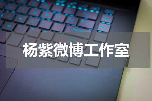 杨紫微博工作室