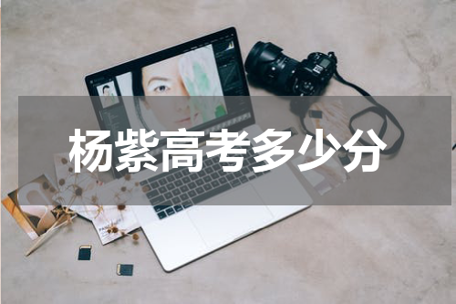 杨紫高考多少分
