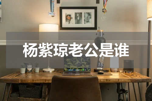 杨紫琼老公是谁