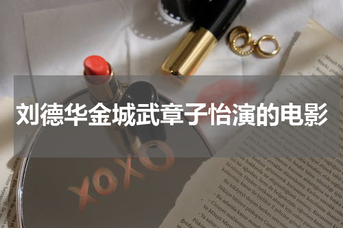 刘德华金城武章子怡演的电影