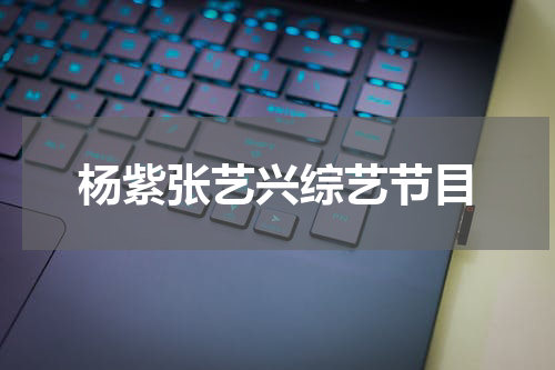 杨紫张艺兴综艺节目