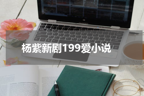 杨紫新剧199爱小说