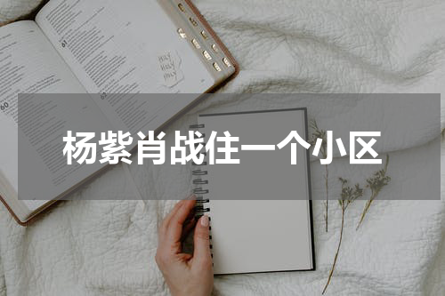 杨紫肖战住一个小区