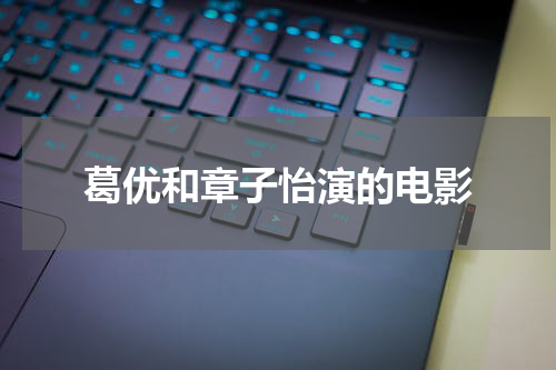 葛优和章子怡演的电影