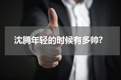 沈腾年轻的时候有多帅?