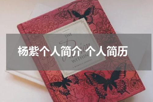 杨紫个人简介 个人简历