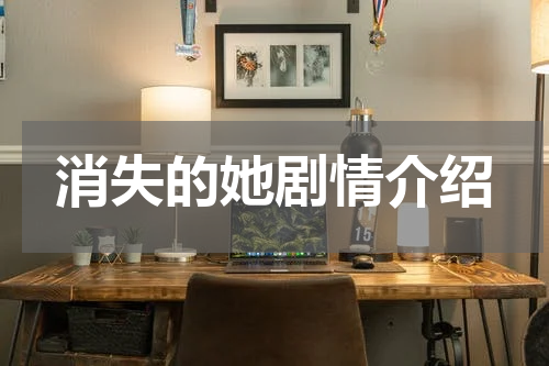 消失的她剧情介绍