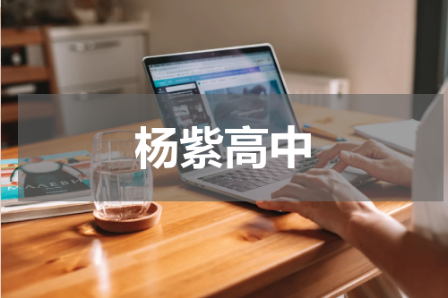 杨紫高中