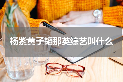 杨紫黄子韬那英综艺叫什么