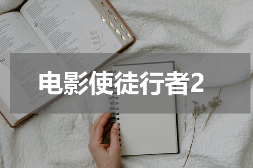 电影使徒行者2