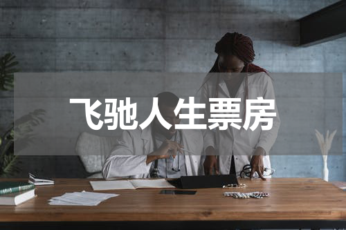飞驰人生票房