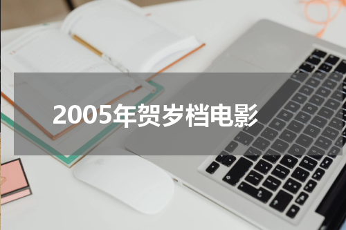 2005年贺岁档电影