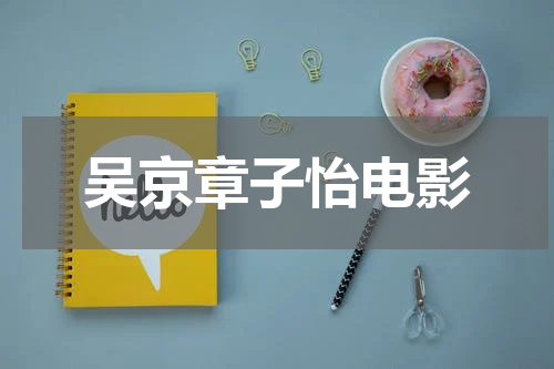 吴京章子怡电影