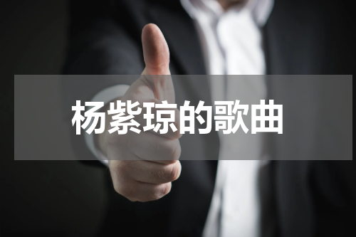 杨紫琼的歌曲
