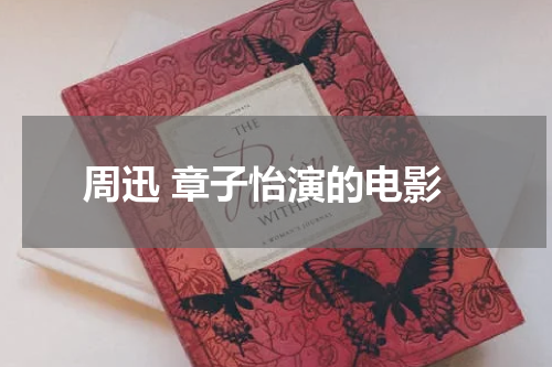 周迅 章子怡演的电影