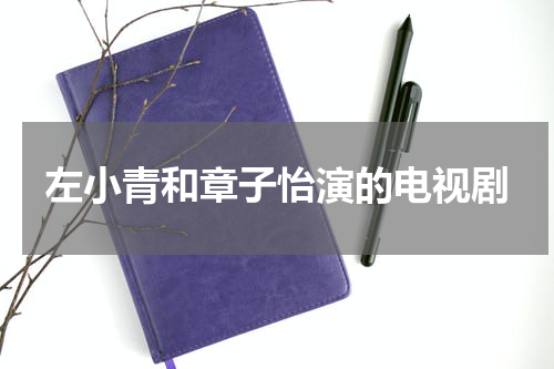 左小青和章子怡演的电视剧