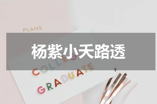 杨紫小夭路透