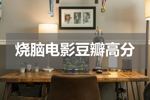 烧脑电影豆瓣高分