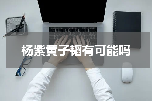 杨紫黄子韬有可能吗
