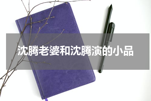 沈腾老婆和沈腾演的小品