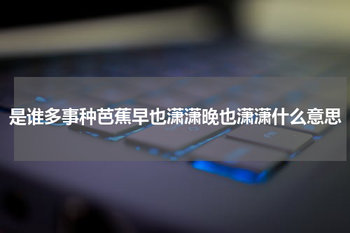 是谁多事种芭蕉早也潇潇晚也潇潇什么意思