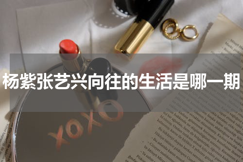 杨紫张艺兴向往的生活是哪一期