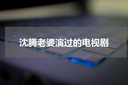 沈腾老婆演过的电视剧