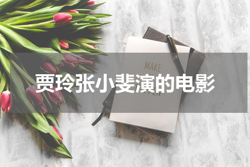 贾玲张小斐演的电影