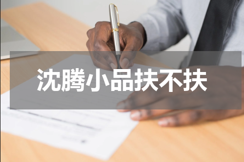 沈腾小品扶不扶