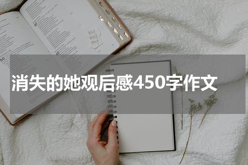 消失的她观后感450字作文
