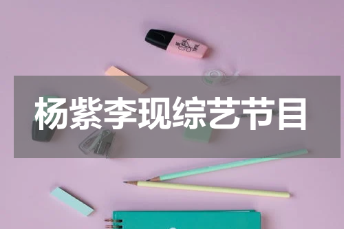 杨紫李现综艺节目