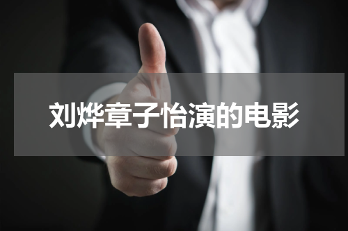 刘烨章子怡演的电影