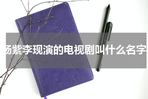 杨紫李现演的电视剧叫什么名字