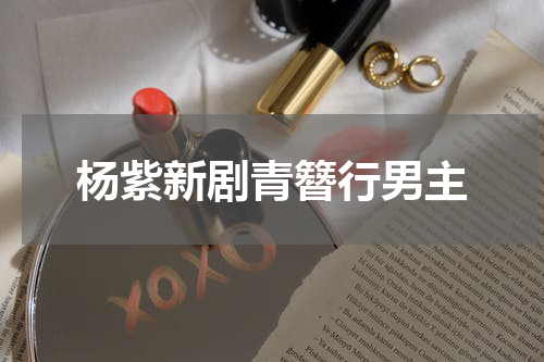 杨紫新剧青簪行男主