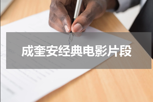 成奎安经典电影片段
