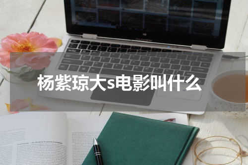杨紫琼大s电影叫什么