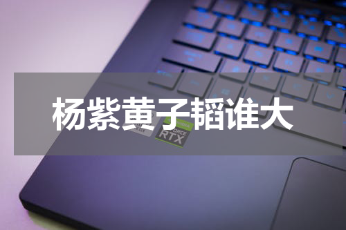 杨紫黄子韬谁大