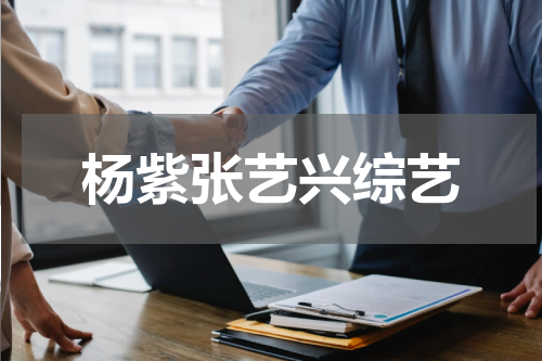 杨紫张艺兴综艺