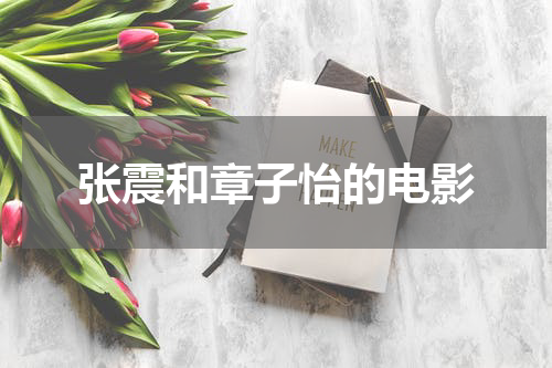 张震和章子怡的电影