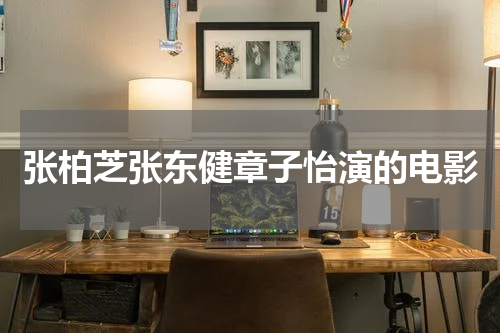 张柏芝张东健章子怡演的电影