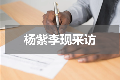杨紫李现采访