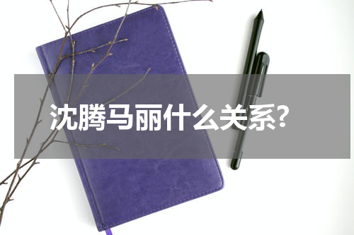 沈腾马丽什么关系?