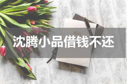 沈腾小品借钱不还