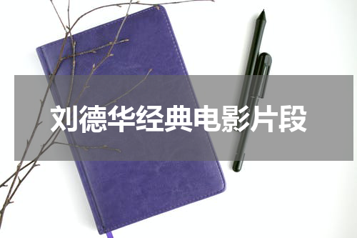 刘德华经典电影片段