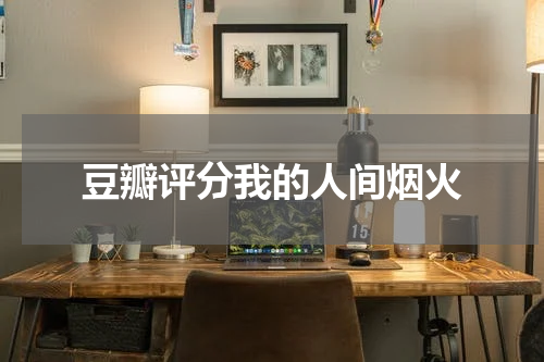 豆瓣评分我的人间烟火