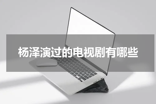杨泽演过的电视剧有哪些