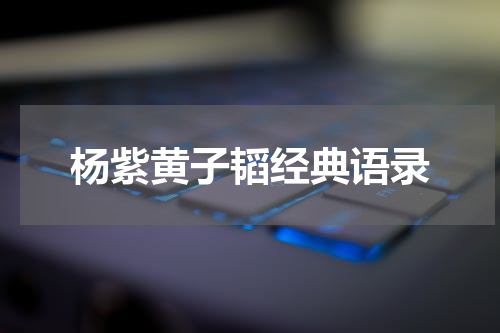 杨紫黄子韬经典语录