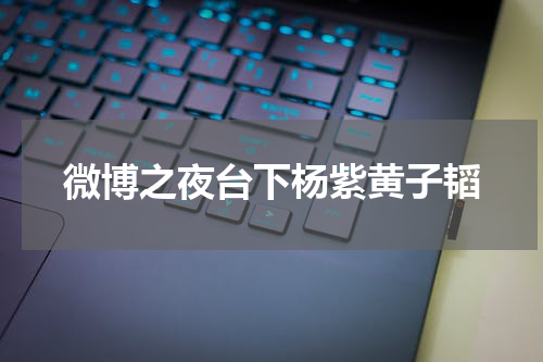 微博之夜台下杨紫黄子韬